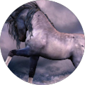 mellany H. profile picture